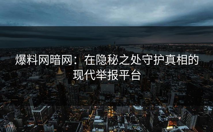 爆料网暗网：在隐秘之处守护真相的现代举报平台
