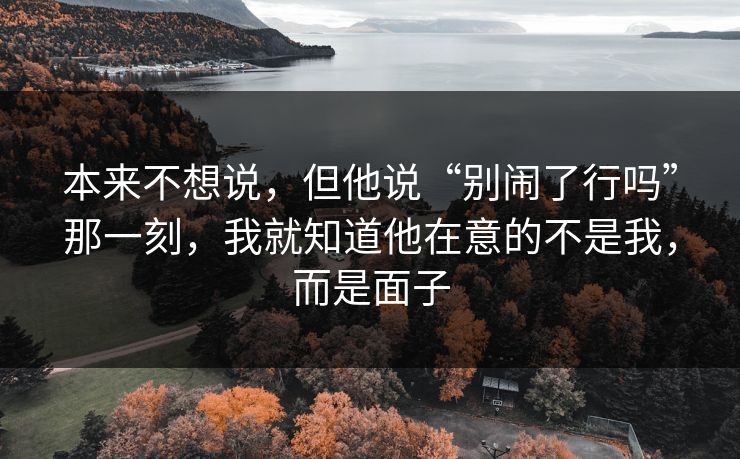 本来不想说，但他说“别闹了行吗”那一刻，我就知道他在意的不是我，而是面子